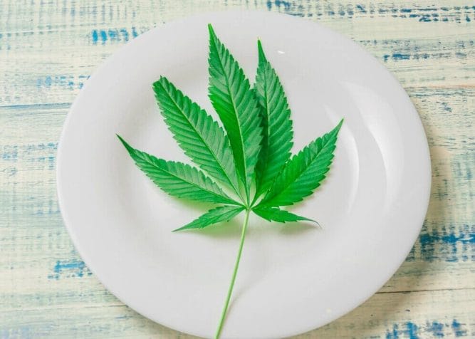 leaf marijuana white plate 209484 4805