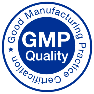 gmp quality logo 029EAE8B9B seeklogo.com blue